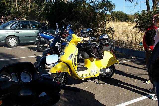 Photo courtesy of Rene.