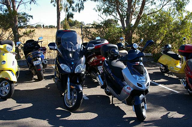 Photo courtesy of Rene.