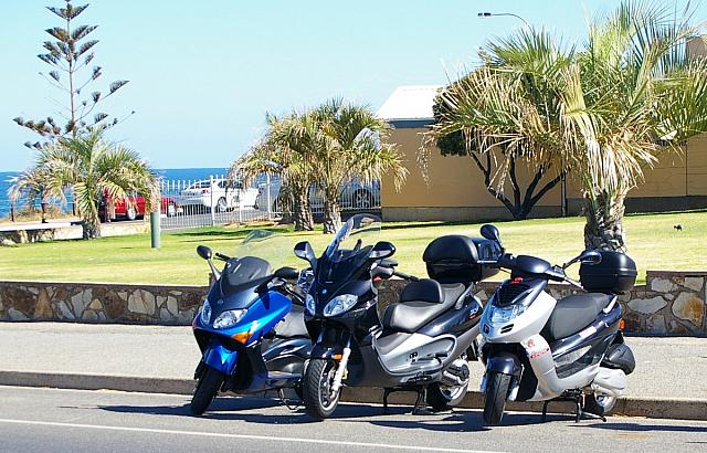 Photo courtesy of Rene.