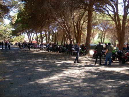 Photo courtesy of Steve.