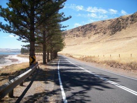 Photo courtesy of Steve.