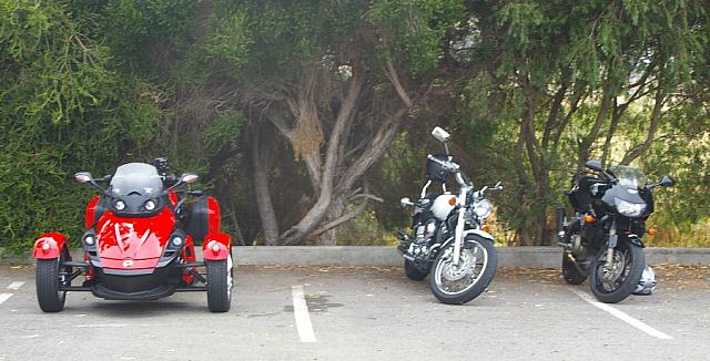 Photo courtesy of Rene