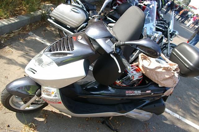 Photo courtesy of Rene