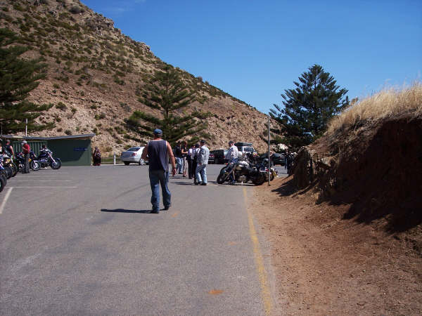 Photo courtesy of Kelvin