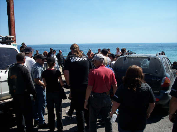 Photo courtesy of Kelvin