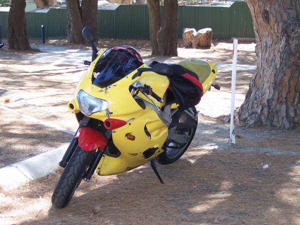 Photo courtesy of Kelvin