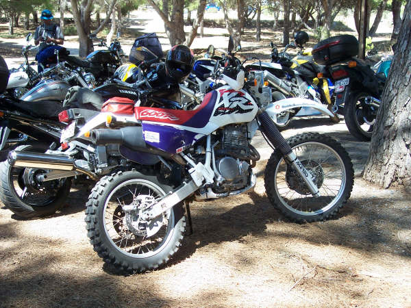 Photo courtesy of Kelvin