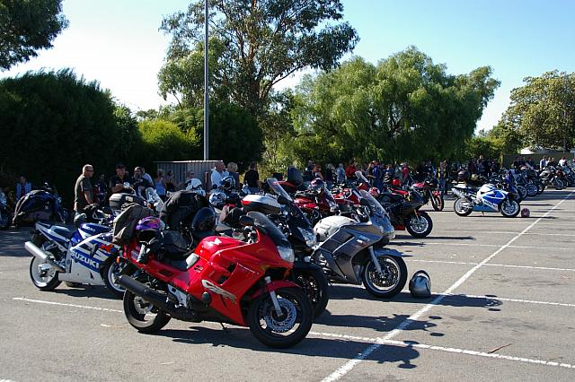 Photo courtesy of Rene