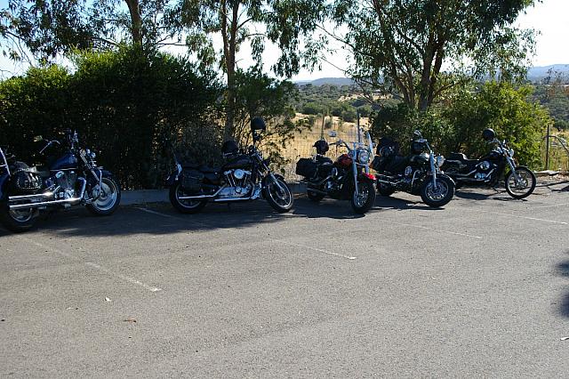 Photo courtesy of Rene