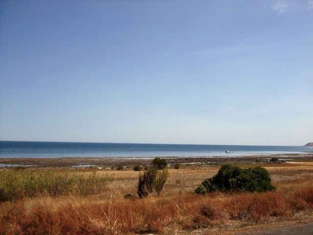 Photo courtesy of Jodie.