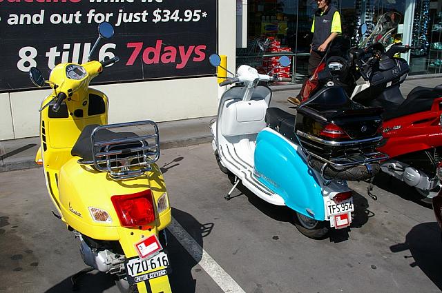 Photo courtesy of Rene