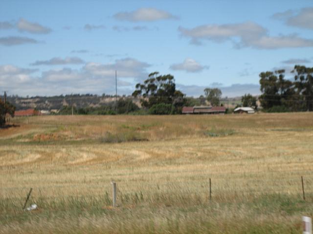 Picture courtesy of Hsin-Ju.