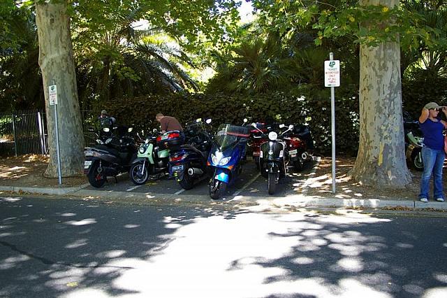 Photo courtesy of Rene