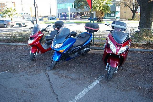 Photo courtesy of Rene