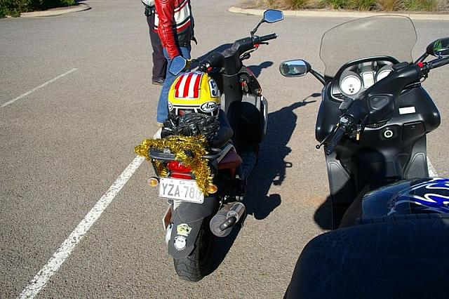 Photo courtesy of Rene