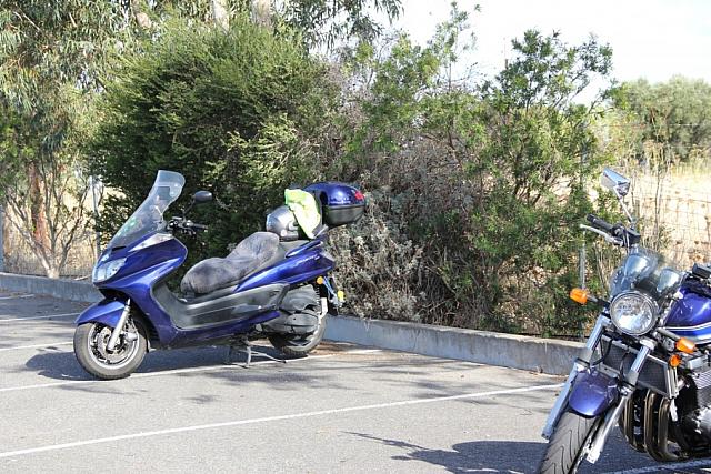 IMG_1568.JPG
Courtesy Rene