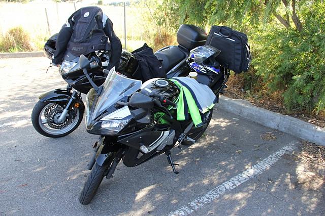 IMG_1569.JPG
Courtesy Rene