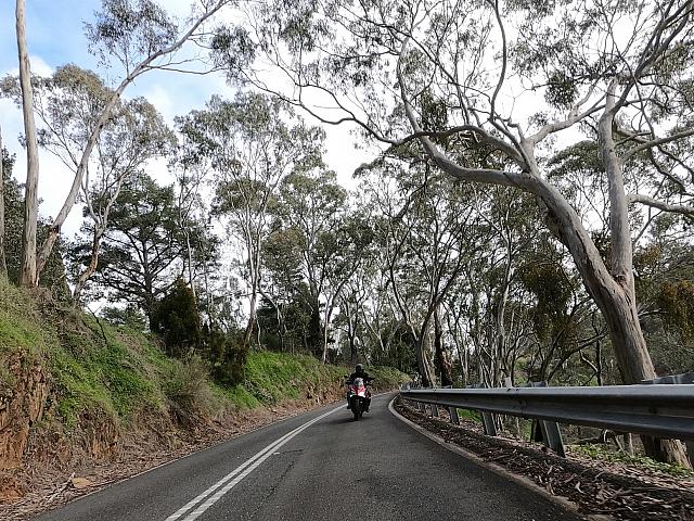 Samrats 20200809 558