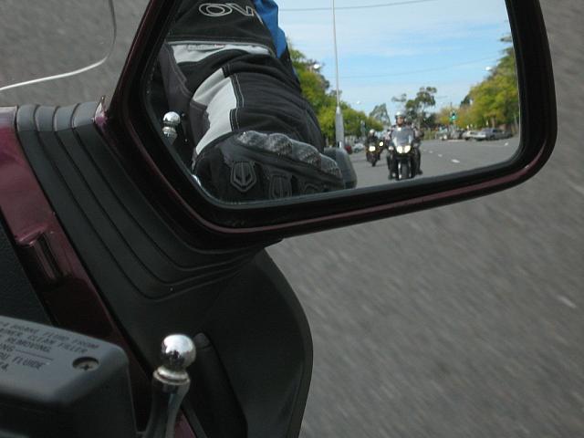 Photo courtesy of Sonia