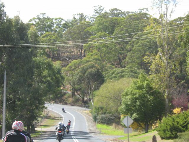 Photo courtesy of Sonia