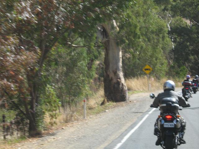 Photo courtesy of Sonia