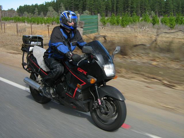 Photo courtesy of Sonia