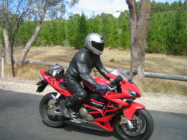 Photo courtesy of Sonia