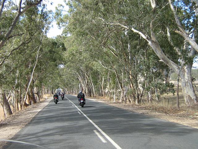 Photo courtesy of Sonia