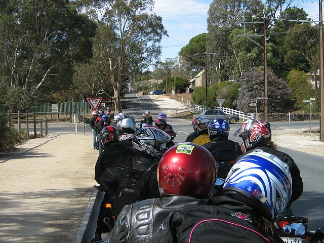 Photo courtesy of Sonia