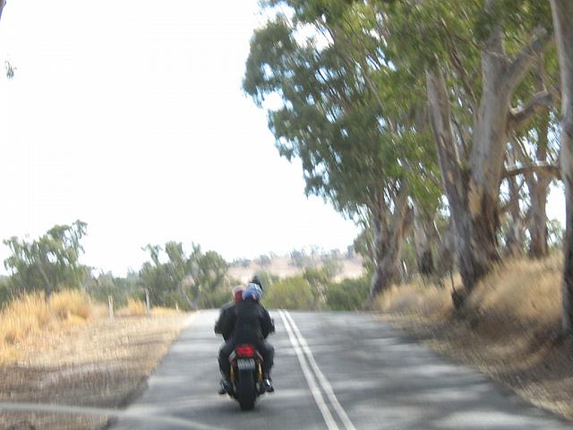 Photo courtesy of Sonia