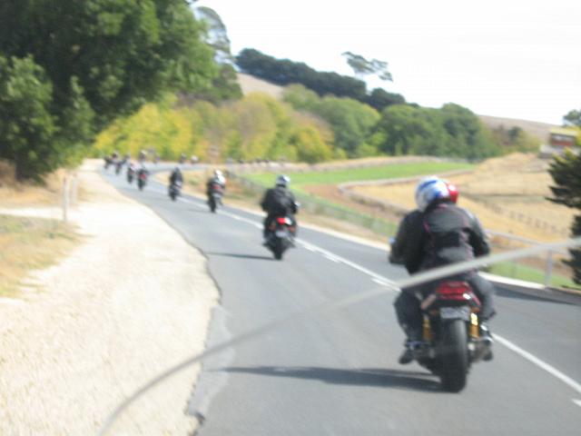 Photo courtesy of Sonia