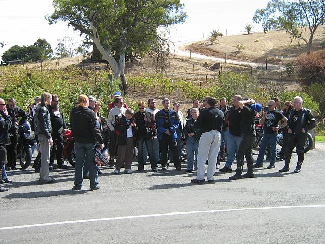 Photo courtesy of Sonia