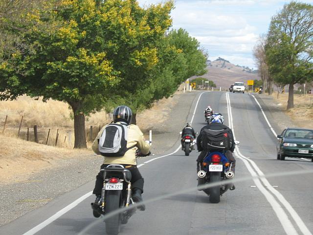 Photo courtesy of Sonia