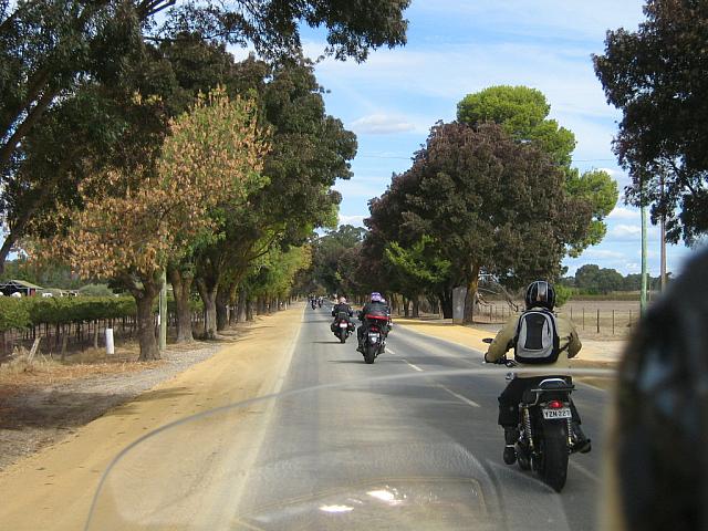 Photo courtesy of Sonia