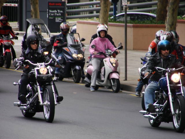 Photo courtesy of Stuart