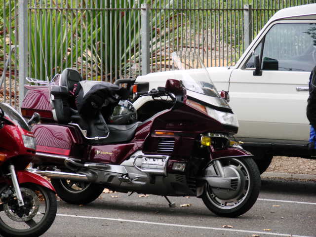 Photo courtesy of Stuart