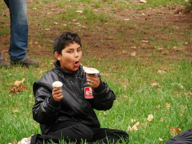 Photo courtesy of Stuart