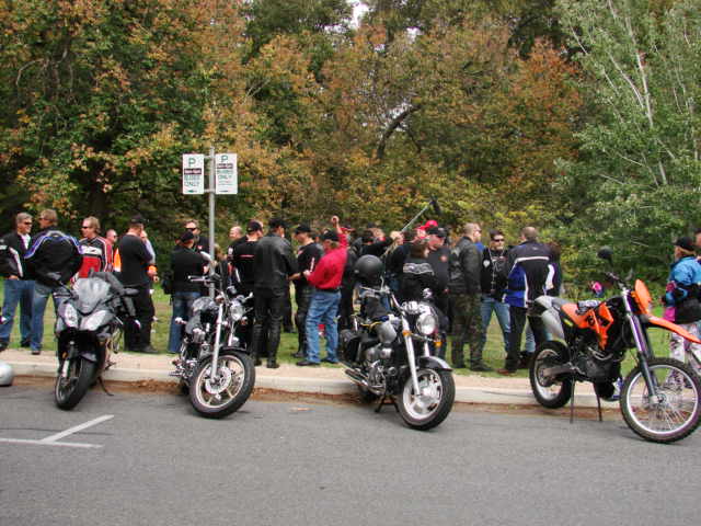 Photo courtesy of Stuart