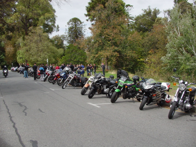 Photo courtesy of Bryan