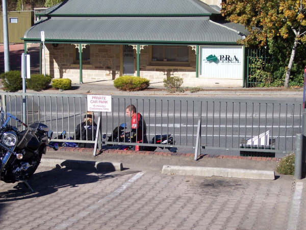 Photo courtesy of Kelvin