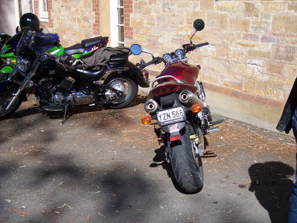 Photo courtesy of Kelvin