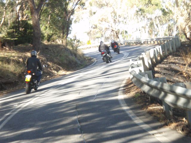 Photo courtesy of Sonya