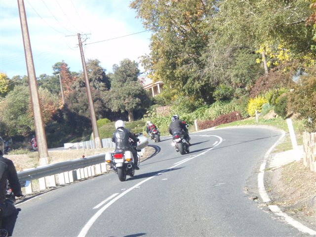 Photo courtesy of Sonya