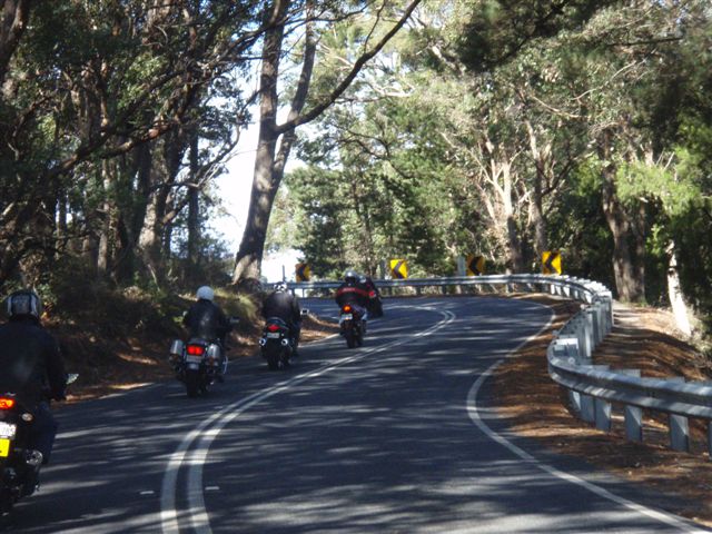 Photo courtesy of Sonya