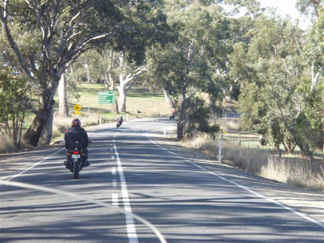 Photo courtesy of Sonya