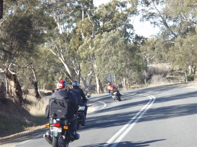 Photo courtesy of Sonya