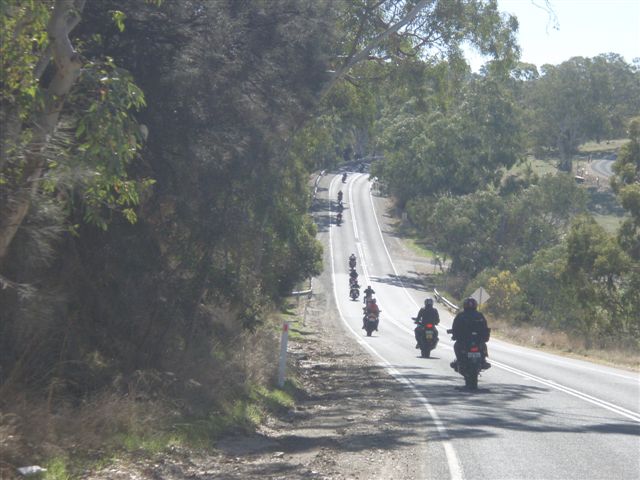 Photo courtesy of Sonya