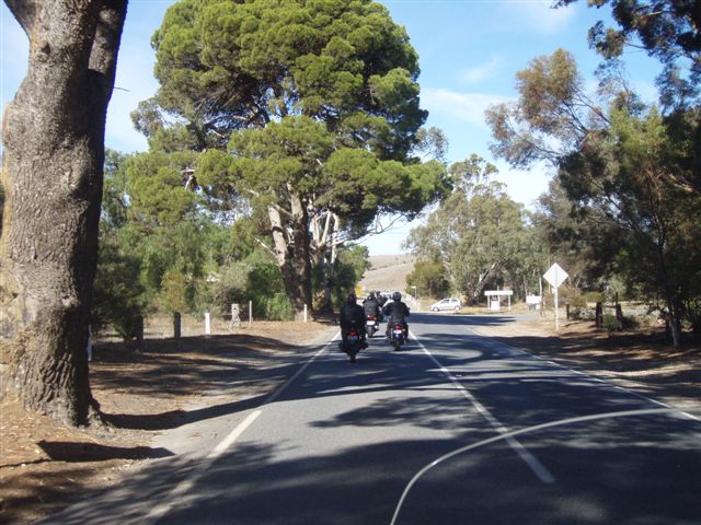 Photo courtesy of Sonya