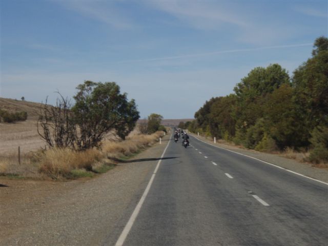 Photo courtesy of Sonya