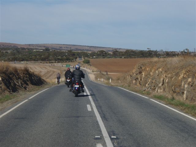 Photo courtesy of Sonya